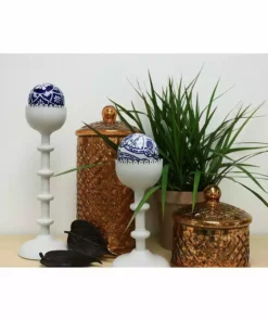 Vigoro 6 in. Grower's Choice Dracaena Indoor Plant in Small White Ribbed Plastic Decor Planter (2-Pack) -Vigoro sales Store vigoro indoor plants co jc06 3 vi wh c3 1000