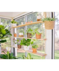 Vigoro 6 in. Golden Pothos Indoor Plant in Small White Ribbed Plastic Decor Planter (2-Pack) -Vigoro sales Store vigoro indoor plants co poth 3 vi wh 1f 1000