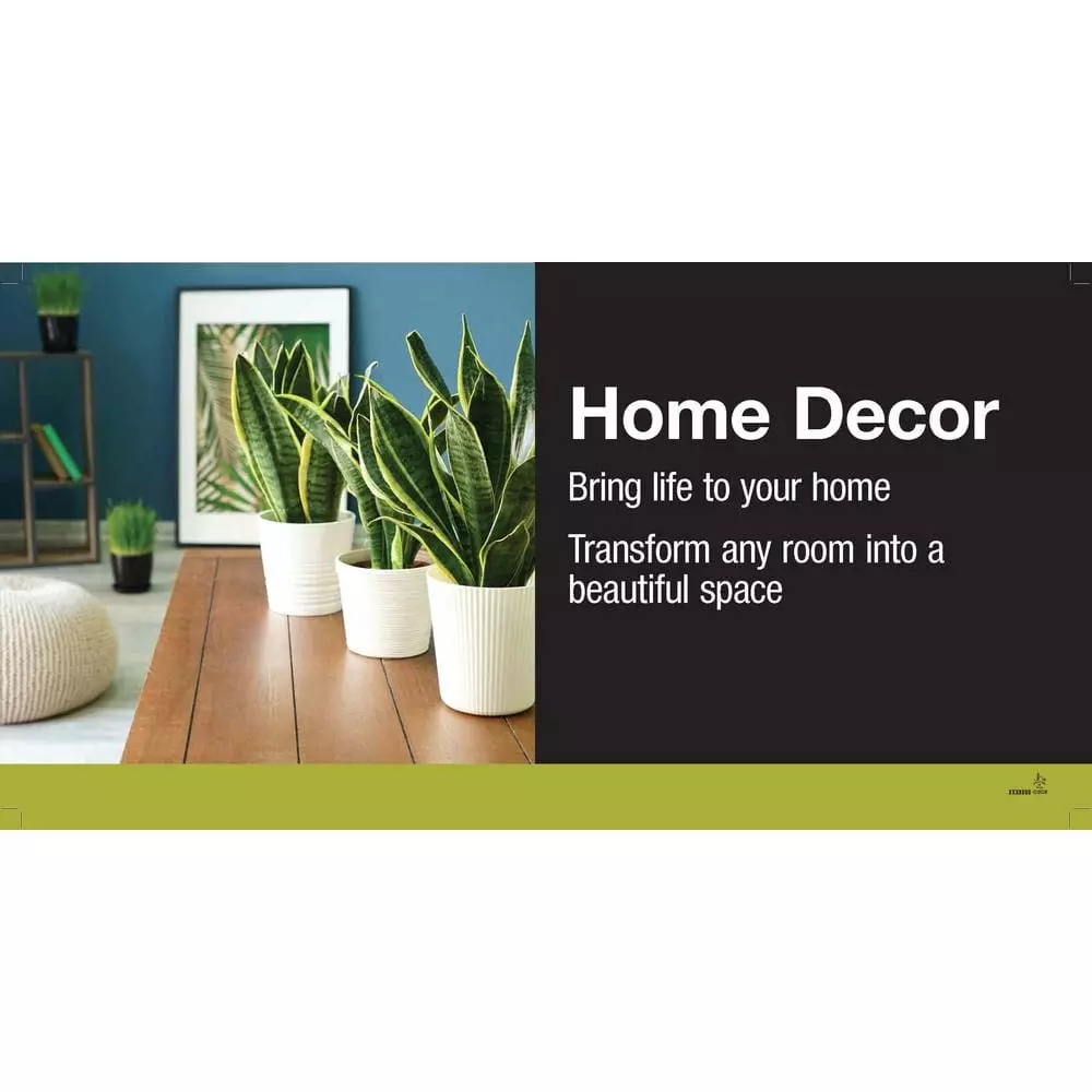 Vigoro 6 in. Grower's Choice Snake Plant (Sansevieria) in Small White Ribbed Plastic Decor Planter (2-Pack) 5 Vigoro 6 in. Grower's Choice Snake Plant (Sansevieria) in Small White Ribbed Plastic Decor Planter (2-Pack) - Image 3