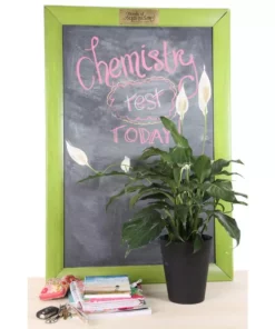 Vigoro 6 in. Peace Lily Indoor Plant in Small White Ribbed Plastic Decor Planter (2-Pack) -Vigoro sales Store vigoro indoor plants co sy06 3 vi wh c3 1000