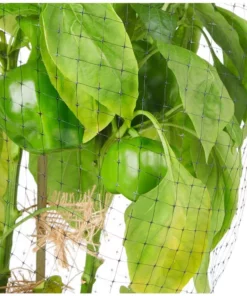 Vigoro 14 ft. x 14 ft. Polypropylene Bird Block Netting and Barrier 17 Vigoro 14 ft. x 14 ft. Polypropylene Bird Block Netting and Barrier -Vigoro sales Store vigoro landscape fabric nmvbb1414 1d 1000