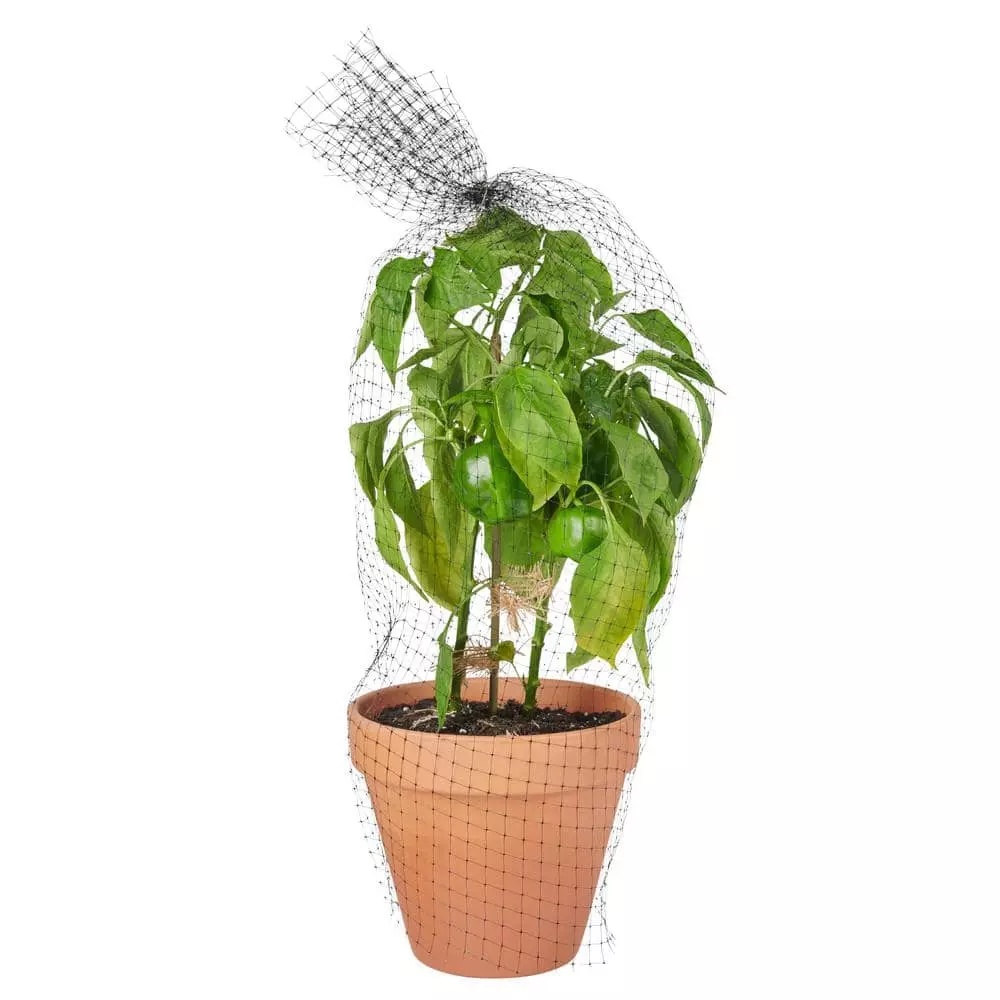 Vigoro 14 ft. x 14 ft. Polypropylene Bird Block Netting and Barrier 8 Vigoro 14 ft. x 14 ft. Polypropylene Bird Block Netting and Barrier - Image 6