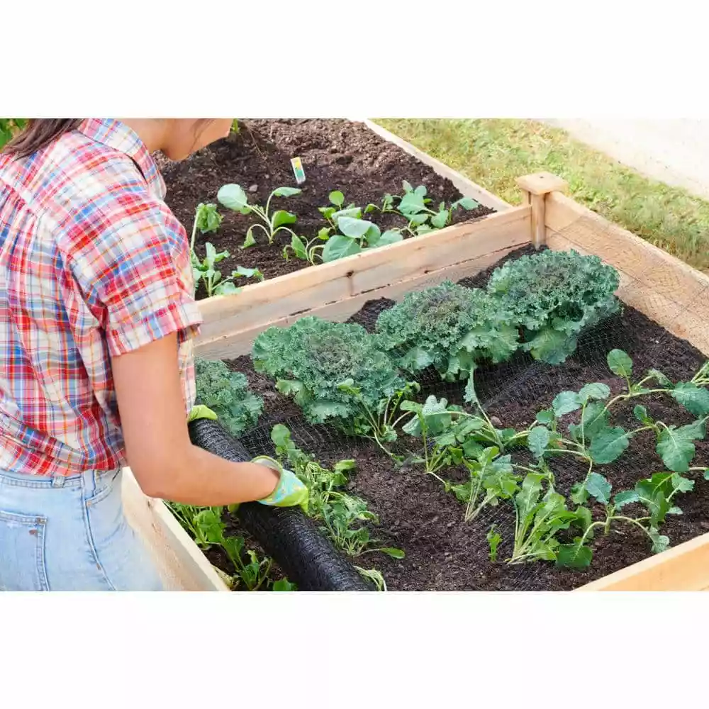 Vigoro 14 ft. x 45 ft. UV Treated Polypropylene Bird Block Netting and Barrier 12 Vigoro 14 ft. x 45 ft. UV Treated Polypropylene Bird Block Netting and Barrier - Image 10