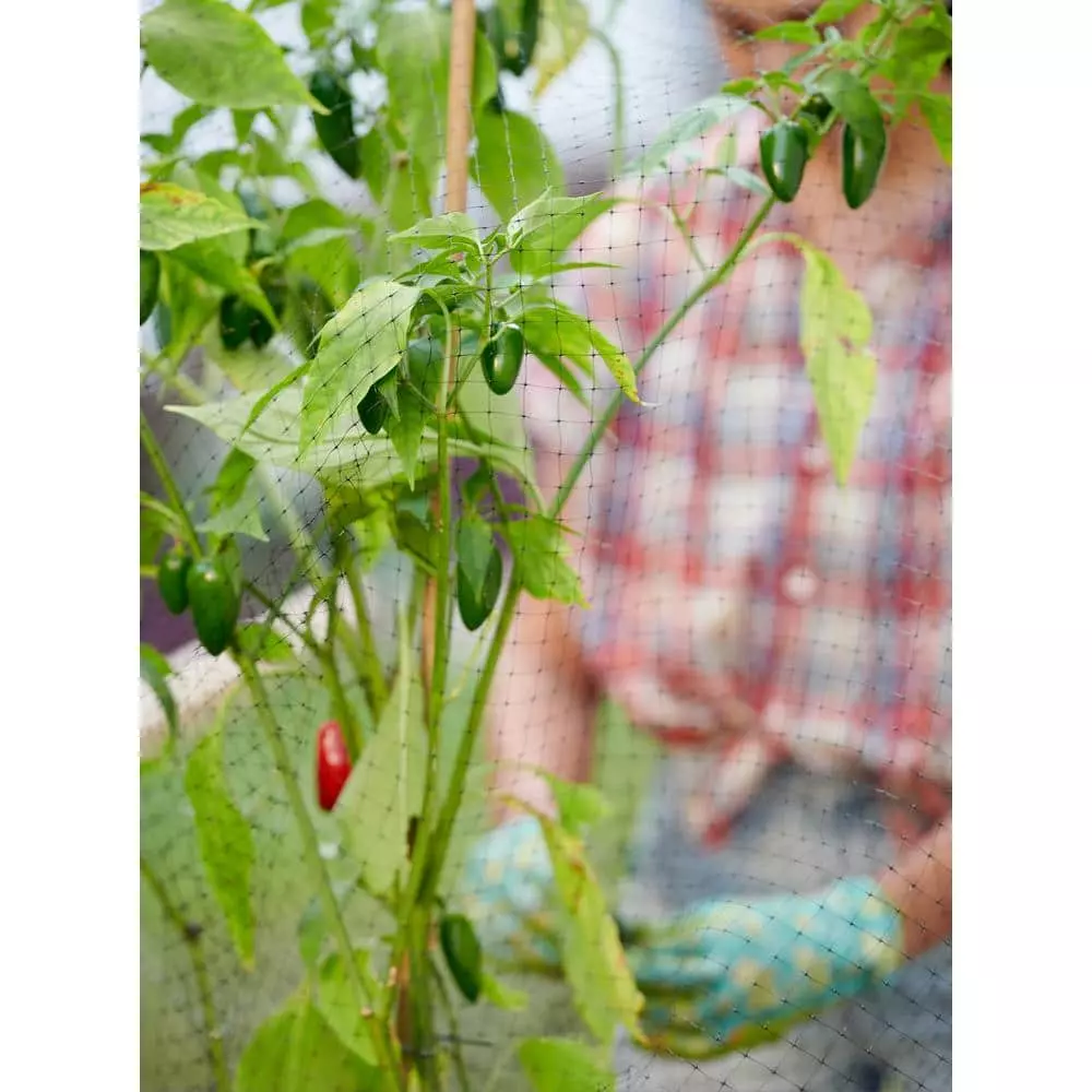 Vigoro 14 ft. x 45 ft. UV Treated Polypropylene Bird Block Netting and Barrier 14 Vigoro 14 ft. x 45 ft. UV Treated Polypropylene Bird Block Netting and Barrier - Image 12