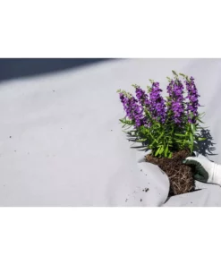 Vigoro 4 ft. x 100 ft. Matrix Grid Landscape Weed Control Fabric -Vigoro sales Store vigoro landscape fabric vpnm410085 44 1000