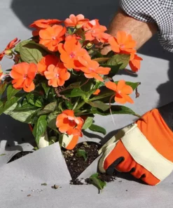 Vigoro 4 ft. x 50 ft. Matrix Grid Heavy-Duty Landscape Fabric (4-Pack) 18 Vigoro 4 ft. x 50 ft. Matrix Grid Heavy-Duty Landscape Fabric (4-Pack) -Vigoro sales Store vigoro landscape fabric vpnm45085 4pk 66 1000