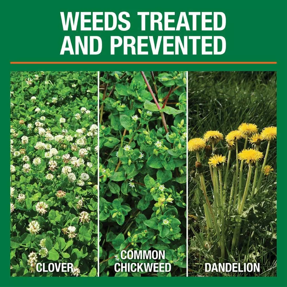 Vigoro 32 lbs. 10,000 sq. ft. Weed and Feed Weed Killer Plus Lawn Fertilizer for Southern Grass Types 4 Vigoro 32 lbs. 10,000 sq. ft. Weed and Feed Weed Killer Plus Lawn Fertilizer for Southern Grass Types - Image 2