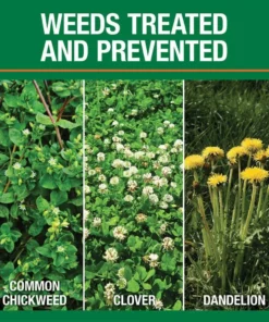 Vigoro 14.6 lbs. 5,000 sq. ft. Weed and Feed Weed Killer Plus Lawn Fertilizer 14 Vigoro 14.6 lbs. 5,000 sq. ft. Weed and Feed Weed Killer Plus Lawn Fertilizer -Vigoro sales Store vigoro lawn fertilizers 52210 c3 1000