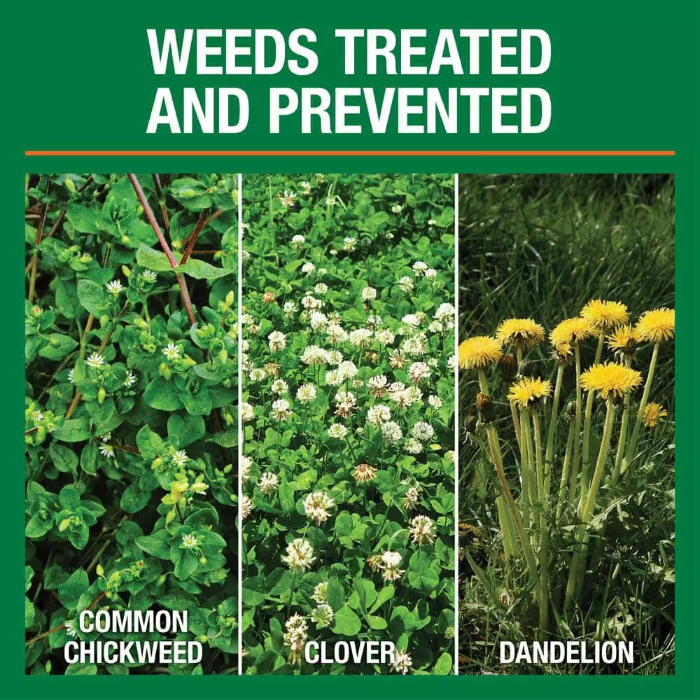 Vigoro 14.6 lbs. 5,000 sq. ft. Weed and Feed Weed Killer Plus Lawn Fertilizer 5 Vigoro 14.6 lbs. 5,000 sq. ft. Weed and Feed Weed Killer Plus Lawn Fertilizer - Image 3