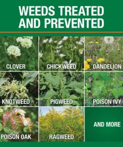 Vigoro 32 oz. 7,500 sq. ft. Spring Ready-to-Spray Concentrate Weed and Feed Lawn Fertilizer -Vigoro sales Store vigoro lawn fertilizers hg 52511 2 c3 1000