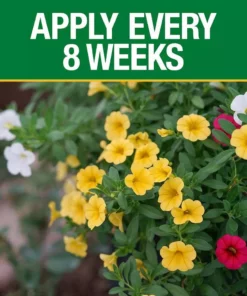 Vigoro 3.5 lb. All Season Bold Blooms Flowering Plant Food (15-30-15) 9 Vigoro 3.5 lb. All Season Bold Blooms Flowering Plant Food (15-30-15) -Vigoro sales Store vigoro plant food fertilizer 120232 1f 1000