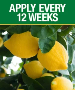 Vigoro 4.2 lb. All Season Fruit, Nut and Citrus Fertilizer Spikes (16-4-8) (15-Count) -Vigoro sales Store vigoro plant food fertilizer 154306 1f 1000