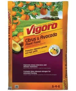 Vigoro 20 lbs. All Season Citrus and Avocado Plant Food Dry Fertilizer (6-4-6)