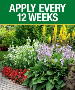 Vigoro 5 lb. All Season All Purpose Plant Food (12-5-7) 9 Vigoro 5 lb. All Season All Purpose Plant Food (12-5-7) -Vigoro sales Store vigoro plant food fertilizer 611612 1f 1000