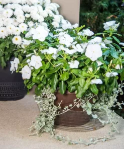 Vigoro 12 in. Plastic Deep Planter Liner -Vigoro sales Store vigoro plant liners dl12vg 4f 1000