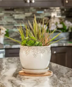 Vigoro 10 in. Bamboo Plant Saucer -Vigoro sales Store vigoro planter saucers bbs10vg 1f 1000