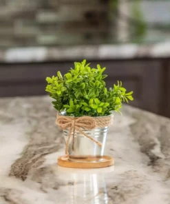 Vigoro 4 in. Bamboo Plant Saucer -Vigoro sales Store vigoro planter saucers bbs4vg 1f 1000