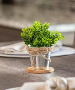 Vigoro 4 in. Bamboo Plant Saucer -Vigoro sales Store vigoro planter saucers bbs4vg 44 1000