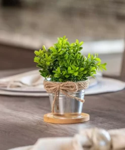 Vigoro 4 in. Bamboo Plant Saucer -Vigoro sales Store vigoro planter saucers bbs4vg fa 1000