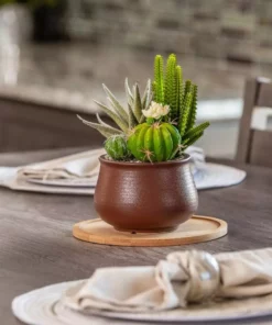 Vigoro 8 in. Bamboo Plant Saucer -Vigoro sales Store vigoro planter saucers bbs8vg 1f 1000