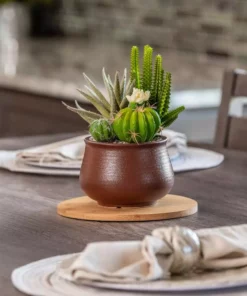 Vigoro 8 in. Bamboo Plant Saucer -Vigoro sales Store vigoro planter saucers bbs8vg 44 1000