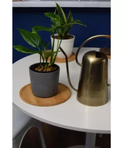 Vigoro 8 in. Bamboo Plant Saucer -Vigoro sales Store vigoro planter saucers bbs8vg 76 1000