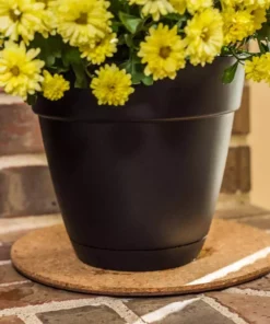 Vigoro 10 in. Cork Mat -Vigoro sales Store vigoro planter saucers cm10phbdi 44 1000