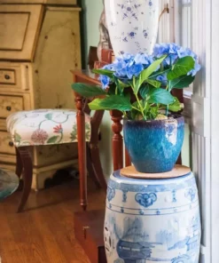 Vigoro 10 in. Cork Mat -Vigoro sales Store vigoro planter saucers cm10phbdi fa 1000