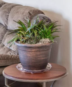 Vigoro 14 in. Heavy Duty Plant Saucer -Vigoro sales Store vigoro planter saucers sp14vg 44 1000