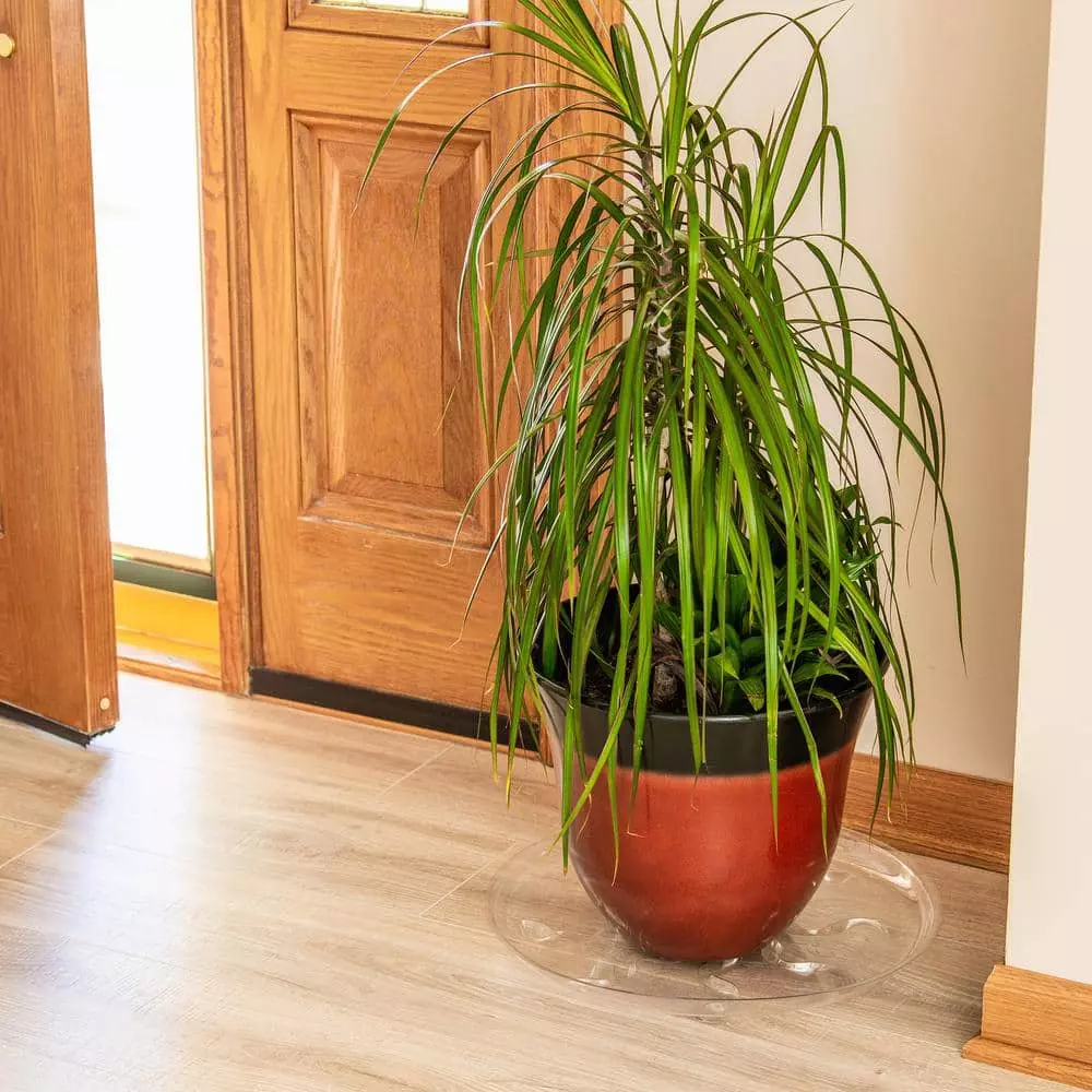 Vigoro 16 in. Heavy Duty Planter Saucer 7 Vigoro 16 in. Heavy Duty Planter Saucer - Image 5