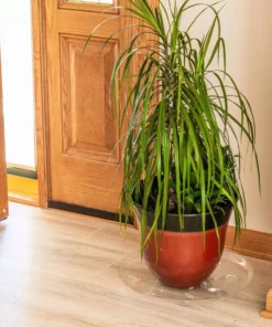 Vigoro 16 in. Heavy Duty Planter Saucer 9 Vigoro 16 in. Heavy Duty Planter Saucer -Vigoro sales Store vigoro planter saucers sp16vg 4f 1000