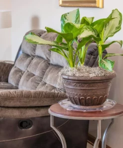 Vigoro 16 in. Heavy Duty Planter Saucer 8 Vigoro 16 in. Heavy Duty Planter Saucer -Vigoro sales Store vigoro planter saucers sp16vg c3 1000