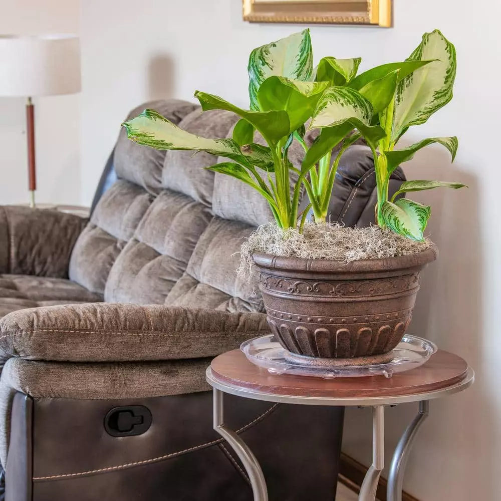 Vigoro 16 in. Heavy Duty Planter Saucer 4 Vigoro 16 in. Heavy Duty Planter Saucer - Image 2