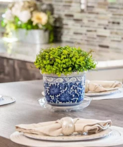 Vigoro 6 in. Heavy Duty Plant Saucer 9 Vigoro 6 in. Heavy Duty Plant Saucer -Vigoro sales Store vigoro planter saucers sp6vg 44 1000