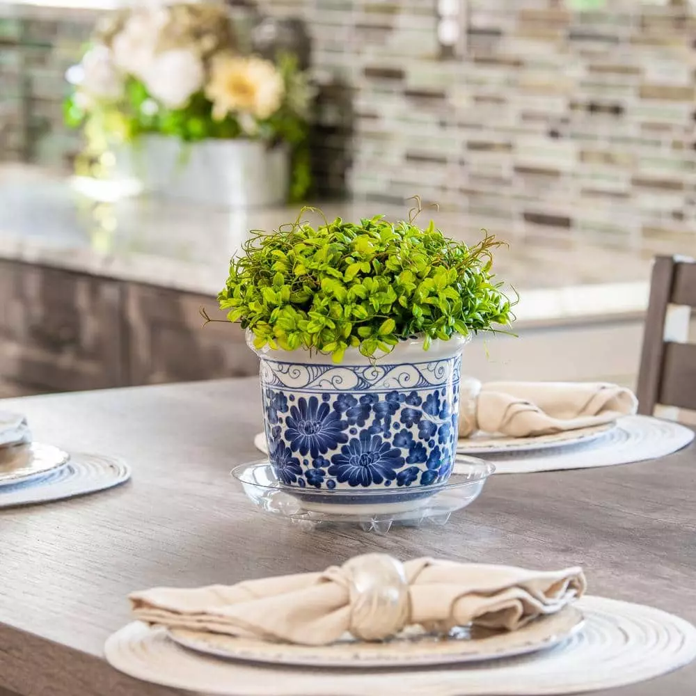 Vigoro 6 in. Heavy Duty Plant Saucer 6 Vigoro 6 in. Heavy Duty Plant Saucer - Image 4