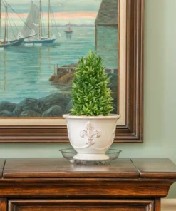 Vigoro 8 in. Heavy Duty Plant Saucer -Vigoro sales Store vigoro planter saucers sp8vg 44 1000