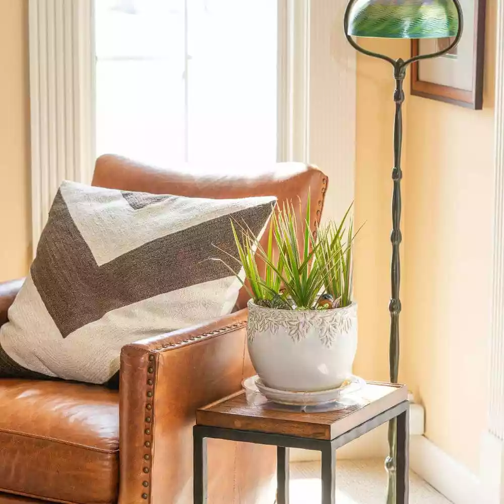 Vigoro 10 in. Plastic Plant Saucer 6 Vigoro 10 in. Plastic Plant Saucer - Image 4