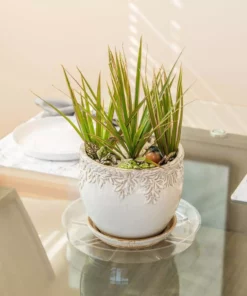 Vigoro 12 in. Plastic Plant Saucer -Vigoro sales Store vigoro planter saucers vs12vg 44 1000