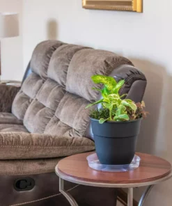 Vigoro 12 in. Plastic Plant Saucer -Vigoro sales Store vigoro planter saucers vs12vg 4f 1000