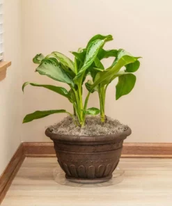 Vigoro 14 in. Plastic Plant Saucer -Vigoro sales Store vigoro planter saucers vs14vg 4f 1000