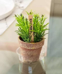 Vigoro 4 in. Plastic Plant Saucer 9 Vigoro 4 in. Plastic Plant Saucer -Vigoro sales Store vigoro planter saucers vs4vg 1f 1000