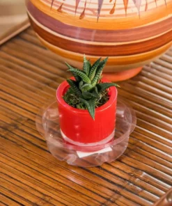 Vigoro 4 in. Plastic Plant Saucer 8 Vigoro 4 in. Plastic Plant Saucer -Vigoro sales Store vigoro planter saucers vs4vg 4f 1000