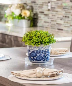 Vigoro 6 in. Plastic Plant Saucer -Vigoro sales Store vigoro planter saucers vs6vg 1f 1000