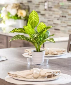 Vigoro 6 in. Plastic Plant Saucer -Vigoro sales Store vigoro planter saucers vs6vg 4f 1000