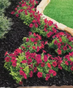 Vigoro 37.5 cu. ft. Black Recycled Rubber Mulch (25 Bags) -Vigoro sales Store vigoro rubber mulch gn15bk25 c3 1000