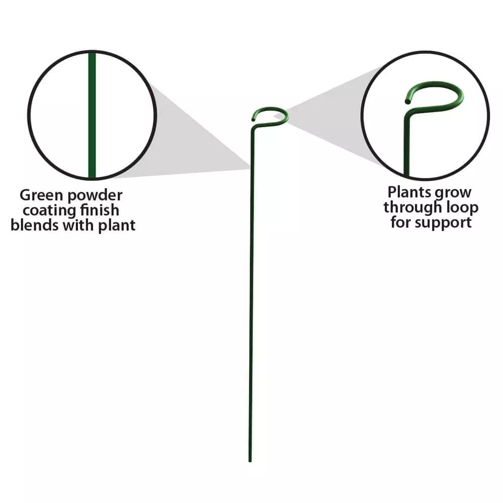 Vigoro 18 in. H x 1.50 in. W Steel Plant Prop 8 Vigoro 18 in. H x 1.50 in. W Steel Plant Prop - Image 6