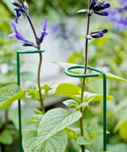 Vigoro 18 in. H x 1.50 in. W Steel Plant Prop 18 Vigoro 18 in. H x 1.50 in. W Steel Plant Prop -Vigoro sales Store vigoro tomato cages 611872 hd 44 1000