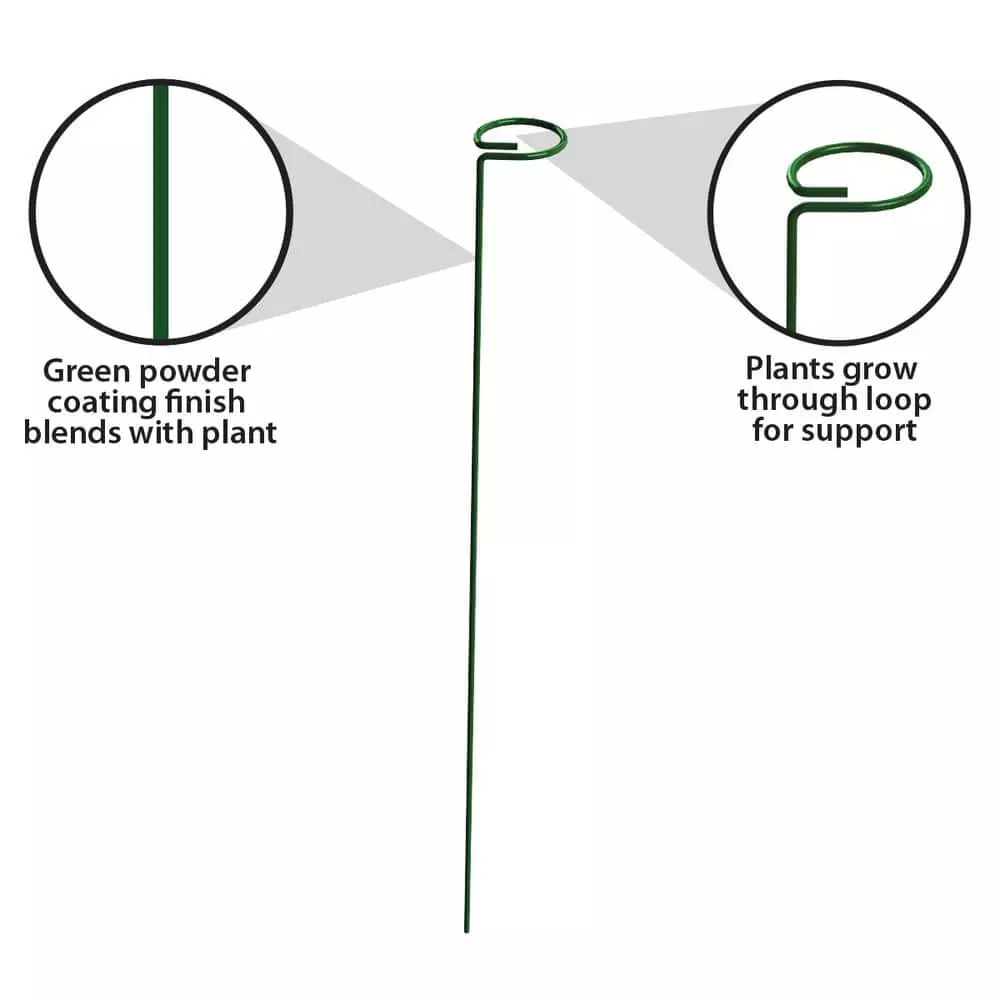 Vigoro 36 in. H x 2.24 in. W Metal Plant Prop 7 Vigoro 36 in. H x 2.24 in. W Metal Plant Prop - Image 5