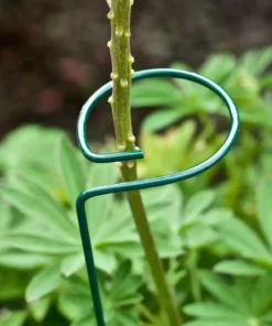 Vigoro 36 in. H x 2.24 in. W Metal Plant Prop 14 Vigoro 36 in. H x 2.24 in. W Metal Plant Prop -Vigoro sales Store vigoro tomato cages 613672 hd 66 1000