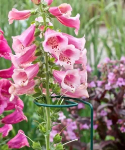 Vigoro 36 in. H x 2.24 in. W Metal Plant Prop 19 Vigoro 36 in. H x 2.24 in. W Metal Plant Prop -Vigoro sales Store vigoro tomato cages 613672 hd fa 1000